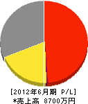 昭成工業 損益計算書 2012年6月期