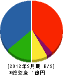 竹田建設 貸借対照表 2012年9月期
