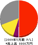 内田鉄工 損益計算書 2009年5月期
