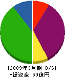 沖縄通信ネットワーク 貸借対照表 2009年3月期