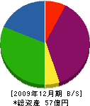 昭和窯業 貸借対照表 2009年12月期