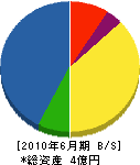 富士建設工業 貸借対照表 2010年6月期
