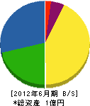 宮田 貸借対照表 2012年6月期