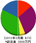宮坂電気通信設備 貸借対照表 2012年3月期