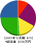 苅田電気商会 貸借対照表 2007年12月期