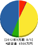 松井設備 貸借対照表 2012年9月期