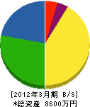 豊進建設 貸借対照表 2012年3月期