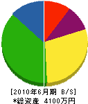 鳥取県中部製畳 貸借対照表 2010年6月期