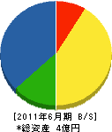 野田工業 貸借対照表 2011年6月期