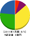 テシマ 貸借対照表 2011年1月期
