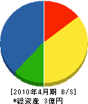 渋谷組 貸借対照表 2010年4月期