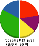 愛媛大東 貸借対照表 2010年9月期