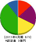 泰辰産業 貸借対照表 2011年6月期