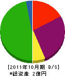 山崎建設 貸借対照表 2011年10月期