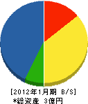 田中工業所 貸借対照表 2012年1月期
