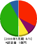 大永電機商会 貸借対照表 2008年5月期