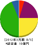 ジャパン・リサイクル・システム 貸借対照表 2012年3月期