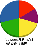 小川ボーリング建設工業 貸借対照表 2012年5月期