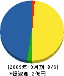 中沢組 貸借対照表 2009年10月期