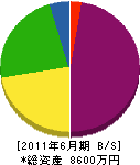 西川工業 貸借対照表 2011年6月期