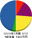 田＊畳店 貸借対照表 2010年7月期