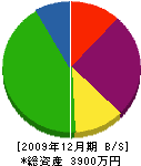 牧田塗装店 貸借対照表 2009年12月期