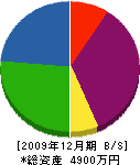 関電気商会 貸借対照表 2009年12月期