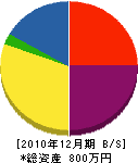川崎設備 貸借対照表 2010年12月期