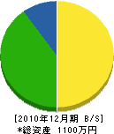 加賀谷電気 貸借対照表 2010年12月期