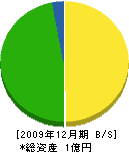 柴垣組 貸借対照表 2009年12月期