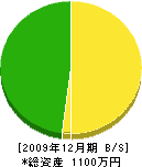 山﨑水道ポンプ店 貸借対照表 2009年12月期