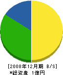 江南建業 貸借対照表 2008年12月期