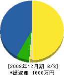 池田水道設備 貸借対照表 2008年12月期