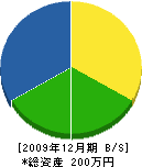 坂本給排水システム 貸借対照表 2009年12月期
