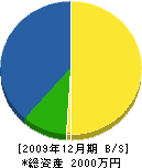 松山家具建具製作所 貸借対照表 2009年12月期