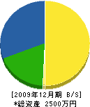 福嶋建築 貸借対照表 2009年12月期