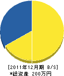 *川建築 貸借対照表 2011年12月期 *川建築 貸借対照表 2011年12月期