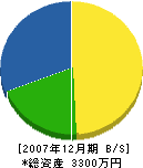 松栄電気商会 貸借対照表 2007年12月期