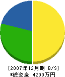 松本塗装店 貸借対照表 2007年12月期