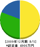 金栗ポンプ店 貸借対照表 2009年12月期