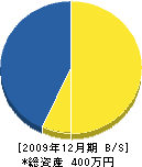 坂田電気工事商会 貸借対照表 2009年12月期