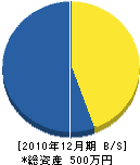 沖縄増改築センター 貸借対照表 2010年12月期