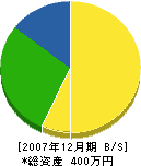 島田畳店 貸借対照表 2007年12月期