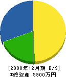 鵜川電気商会 貸借対照表 2008年12月期