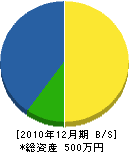中山畳店 貸借対照表 2010年12月期