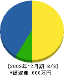 藤田住設 貸借対照表 2009年12月期