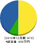 小野寺塗装 貸借対照表 2010年12月期