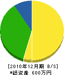 岩崎左建工業 貸借対照表 2010年12月期