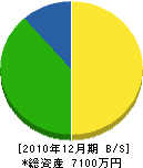 花田設備 貸借対照表 2010年12月期