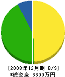 神野ガラス店 貸借対照表 2008年12月期